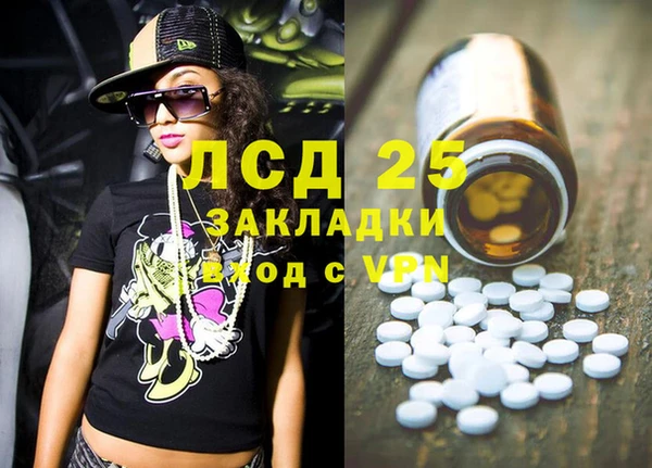 спайс Бородино