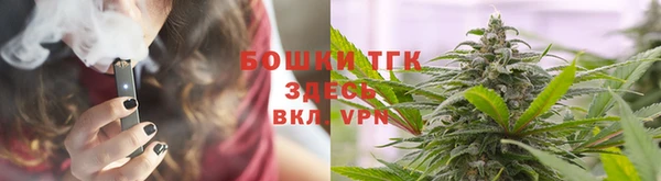 спайс Бородино