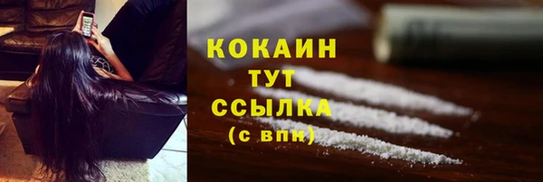 спайс Бородино