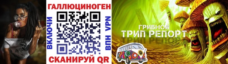 Псилоцибиновые грибы Cubensis  закладки  Верхотурье 